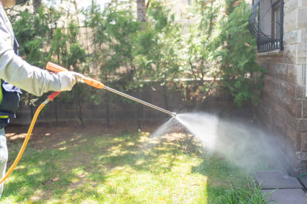 Best Lawn Pest Control  in West Fairview, PA